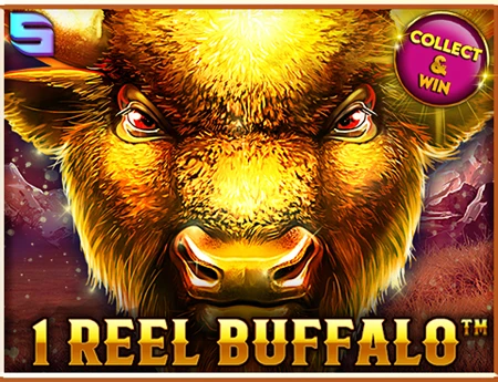 1 Reel Buffalo
