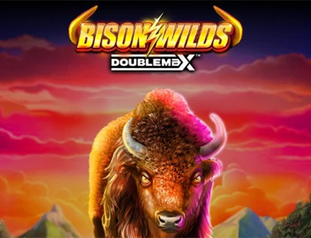 Bison Wilds DoubleMax
