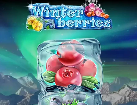 Winterberries 2